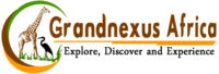 grandnexus-africa-logo.jpg